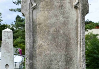 Most - židovský, Omnium, 2018