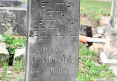 Most - židovský, Omnium, 2018