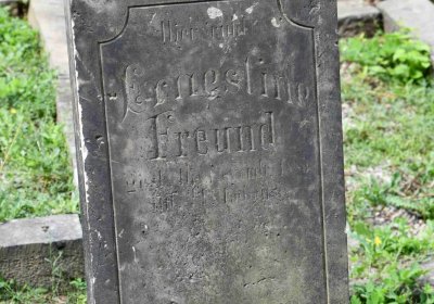 Most - židovský, Omnium, 2018