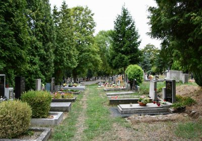 Most - městský, Omnium, 2018