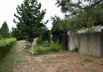 Most - městský, Omnium, 2018