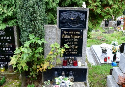 Most městský, Omnium, 2020