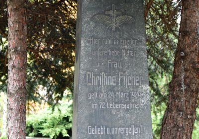 Most městský, Omnium, 2020