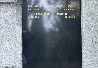 Most městský, Omnium, 2020