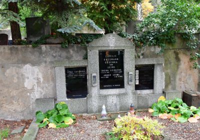 Most městský, Omnium, 2020