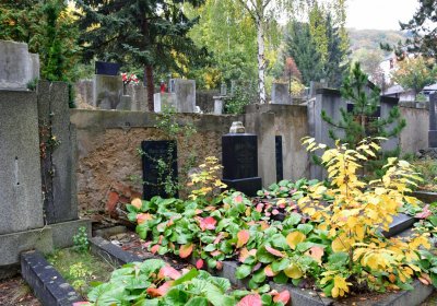 Most městský, Omnium, 2020