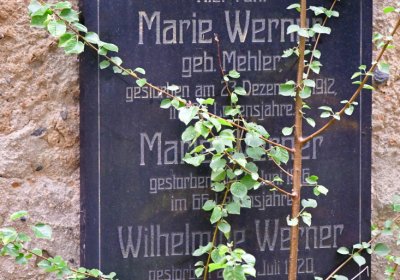 Omnium městský, Omnium, 2020