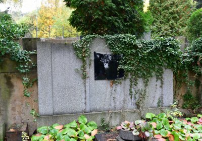 Omnium městský, Omnium, 2020