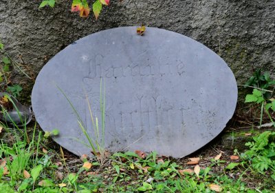 Omnium městský, Omnium, 2020