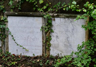 Omnium městský, Omnium, 2020