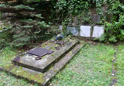 Omnium městský, Omnium, 2020