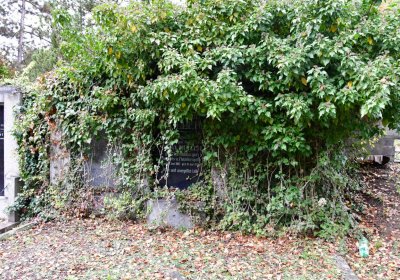 Omnium městský, Omnium, 2020