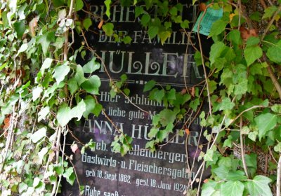 Omnium městský, Omnium, 2020