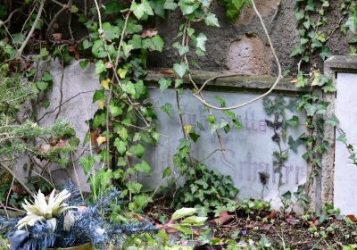 Omnium městský, Omnium, 2020