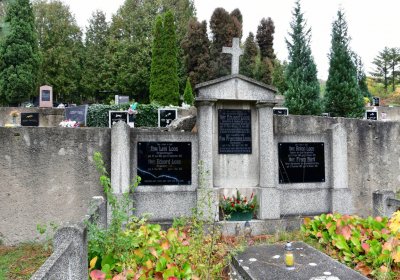 Omnium městský, Omnium, 2020