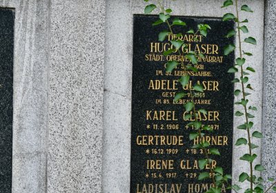 Omnium městský, Omnium, 2020