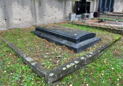 Omnium městský, Omnium, 2020