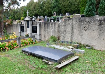 Omnium městský, Omnium, 2020