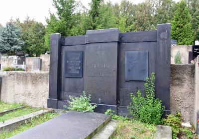 Omnium městský, Omnium, 2020