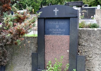 Omnium městský, Omnium, 2020