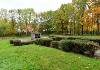 Omnium městský, Omnium, 2020