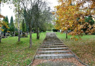 Omnium městský, Omnium, 2020