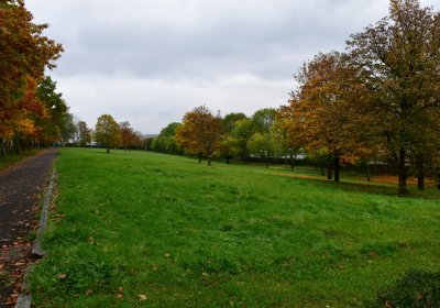 Omnium městský, Omnium, 2020