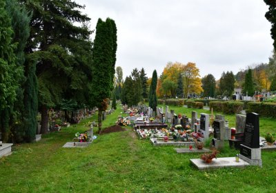 Omnium městský, Omnium, 2020