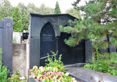 Omnium městský, Omnium, 2020