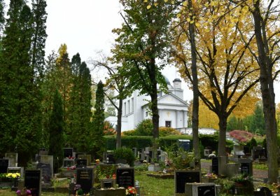 Omnium městský, Omnium, 2020