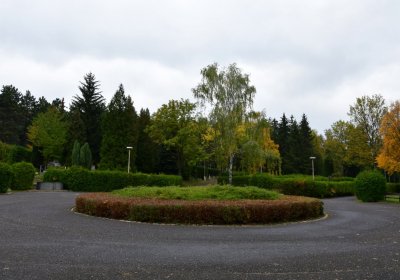 Omnium městský, Omnium, 2020