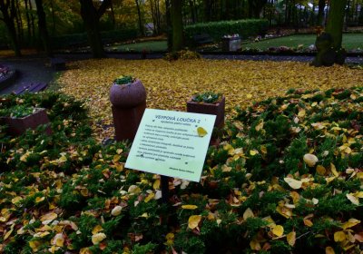 Omnium městský, Omnium, 2020