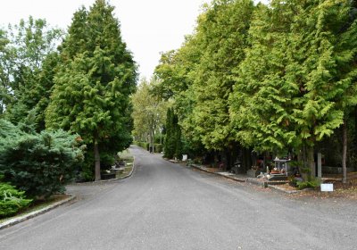 Most - městský, Omnium, 2018