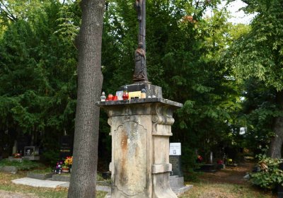 Most - městský, Omnium, 2018