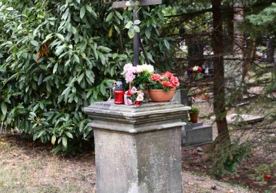 Most - městský, Omnium, 2018