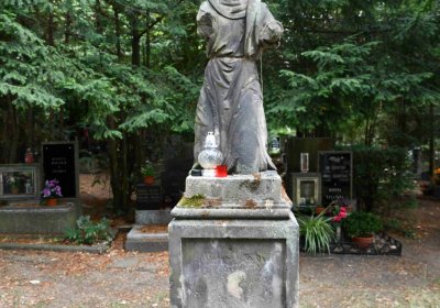 Most - městský, Omnium, 2018