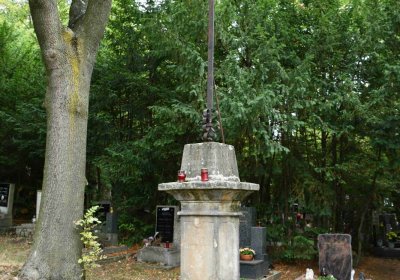 Most - městský, Omnium, 2018