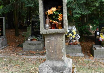 Most - městský, Omnium, 2018