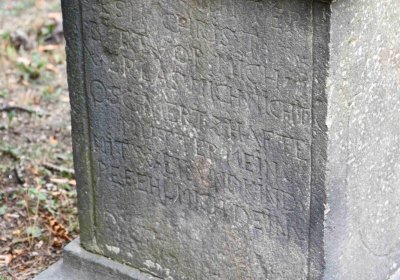 Most - městský, Omnium, 2018