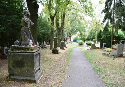 Most - městský, Omnium, 2018