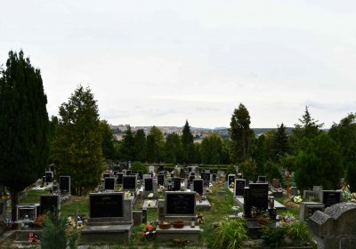 Most - městský, Omnium, 2018