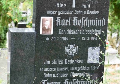 Most - městský, Omnium, 2018