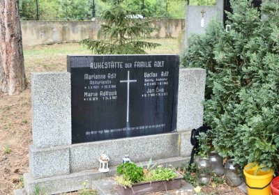 Most - městský, Omnium, 2018