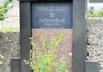 Most - městský, Omnium, 2018