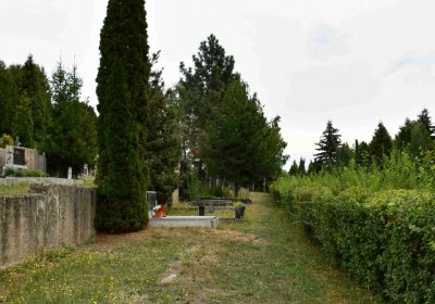 Most - městský, Omnium, 2018