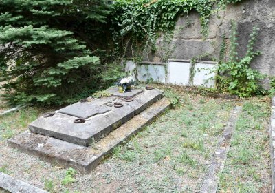 Most - městský, Omnium, 2018