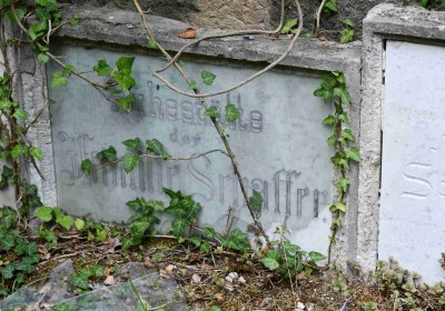 Most - městský, Omnium, 2018