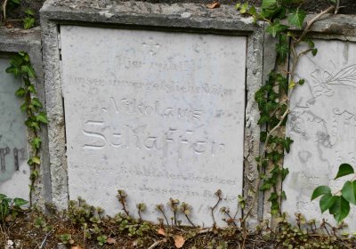 Most - městský, Omnium, 2018