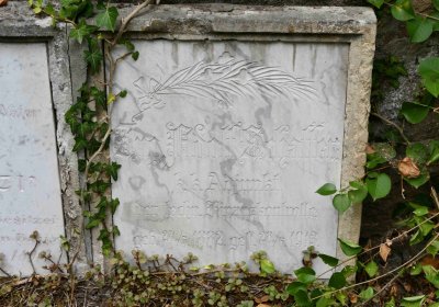 Most - městský, Omnium, 2018