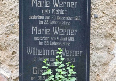 Most - městský, Omnium, 2018